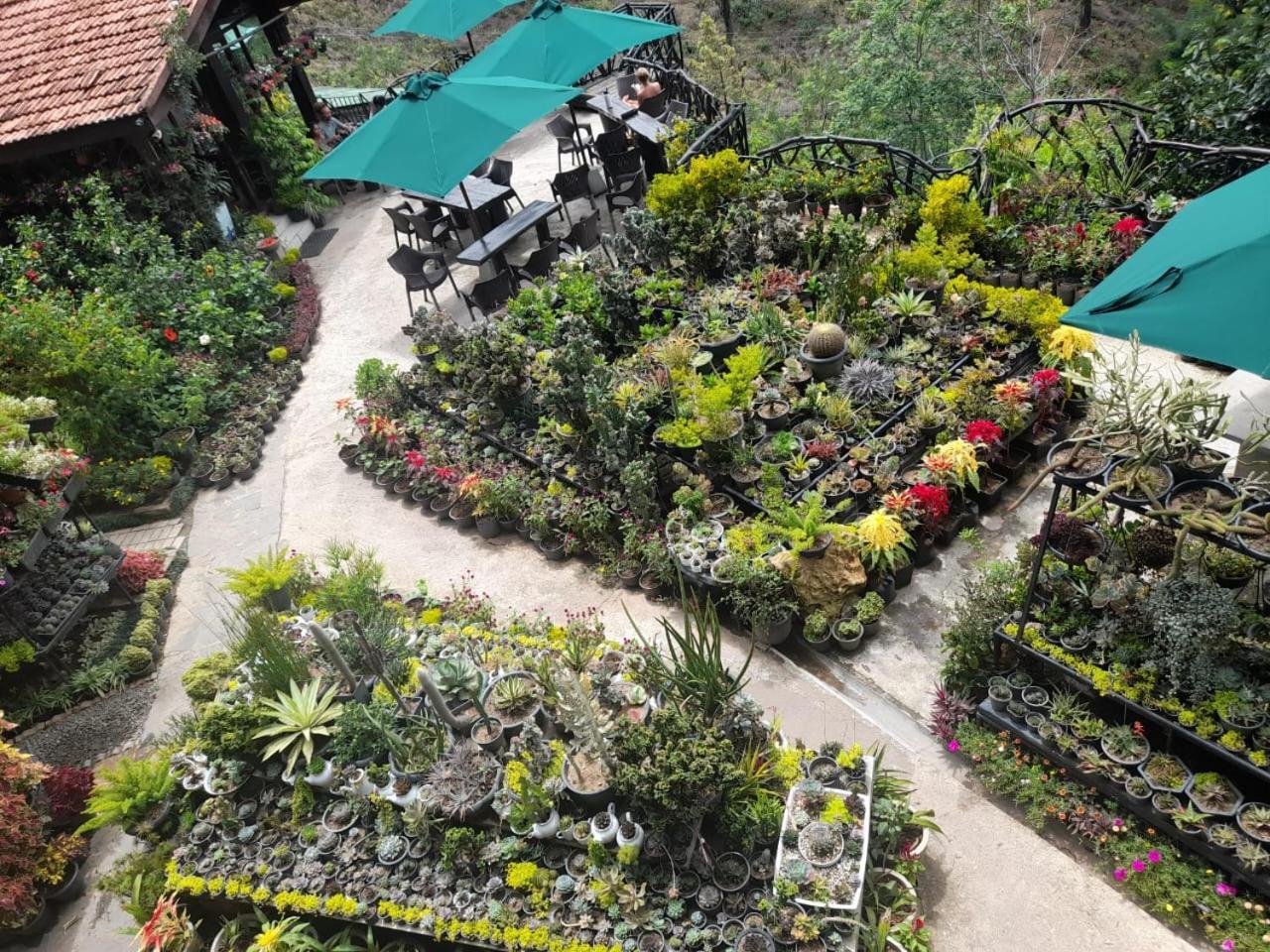 Ella Flower Garden Resort Εξωτερικό φωτογραφία