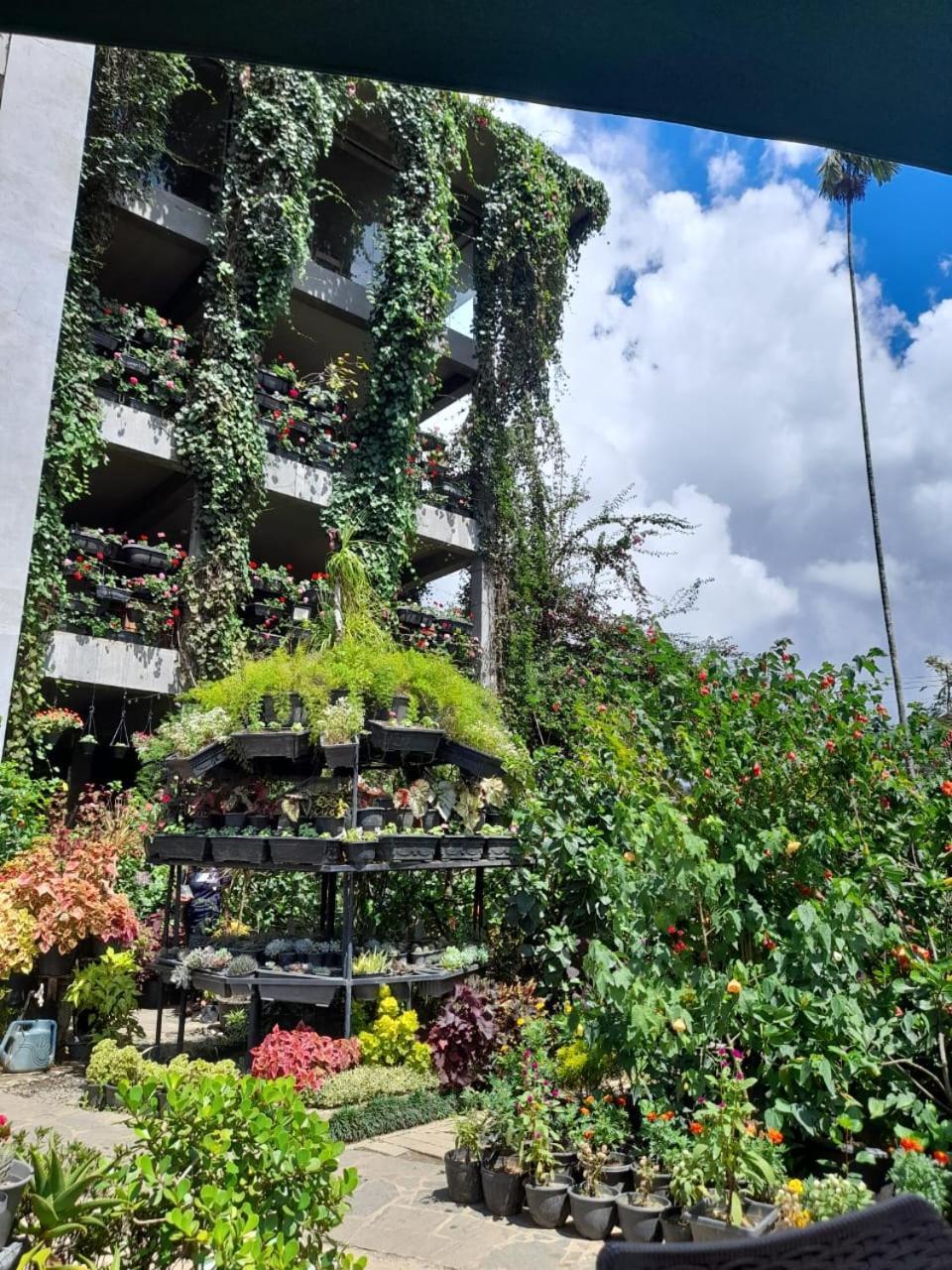 Ella Flower Garden Resort Εξωτερικό φωτογραφία