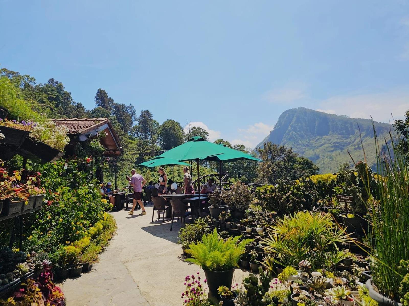 Ella Flower Garden Resort Εξωτερικό φωτογραφία