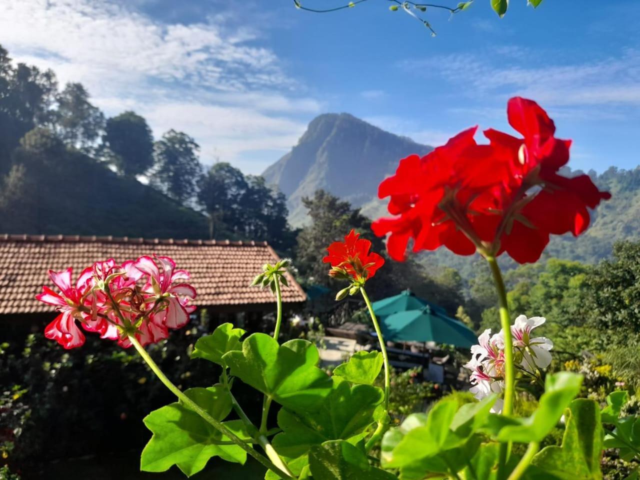 Ella Flower Garden Resort Εξωτερικό φωτογραφία