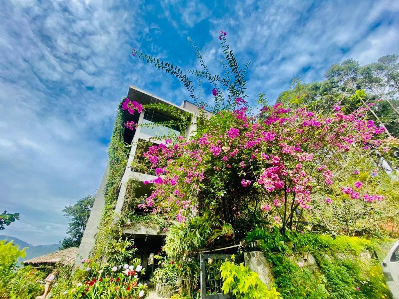 Ella Flower Garden Resort Εξωτερικό φωτογραφία
